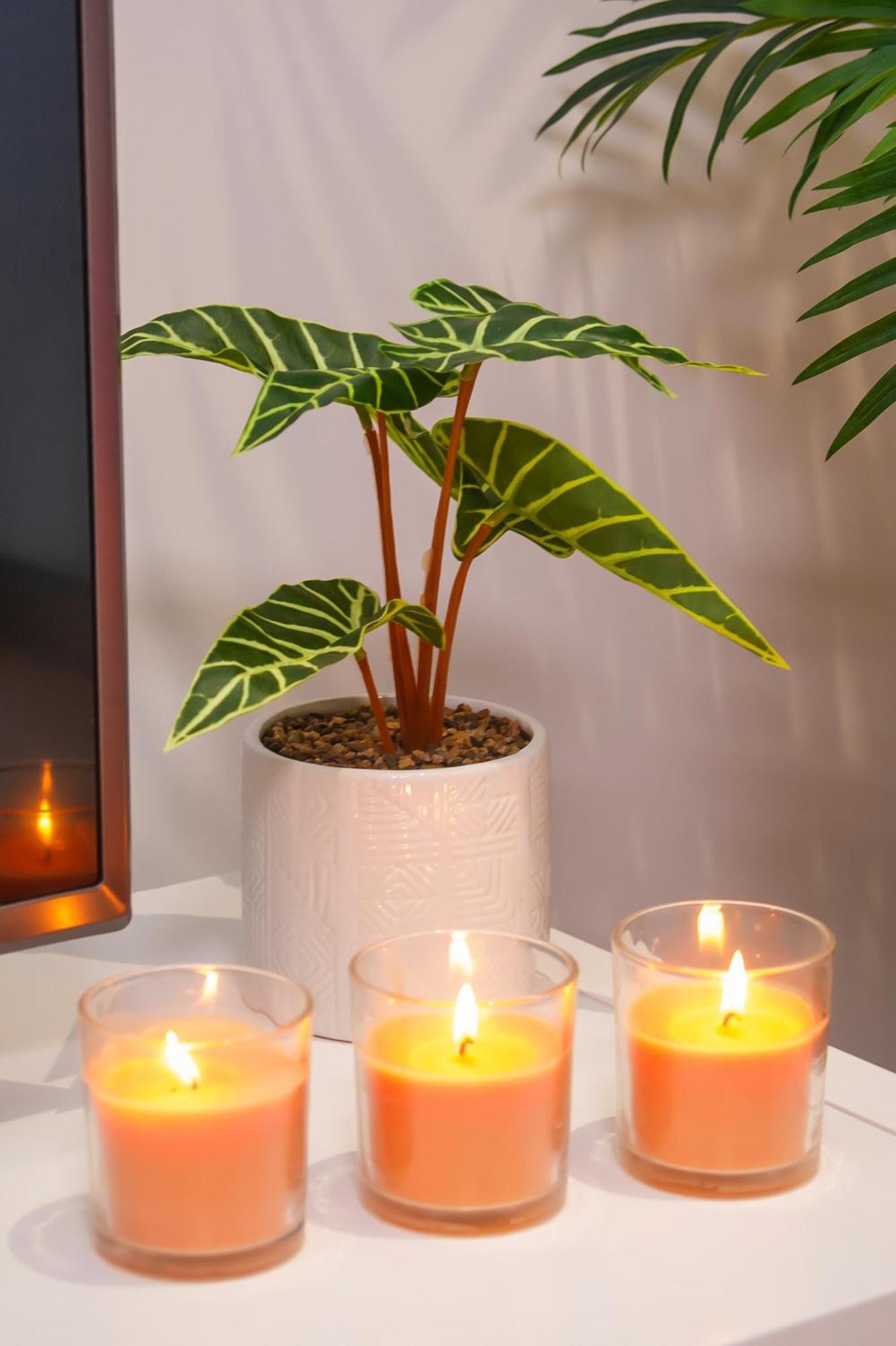 Batalha - Ferreiras Apartment Ngoại thất bức ảnh